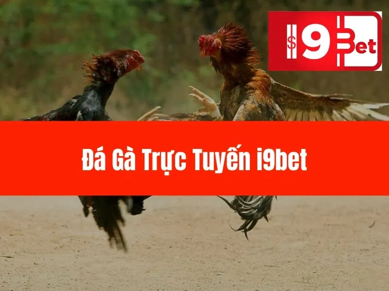 Đá Gà Trực Tuyến